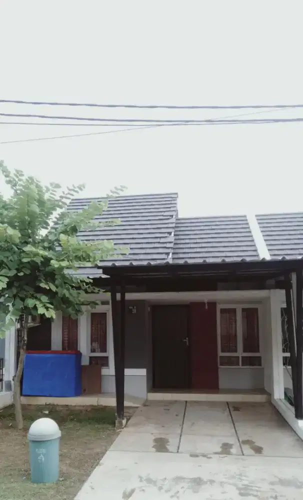Di sewakan Rumah nyaman bebas banjir