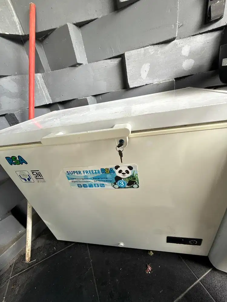 RSA Freezer Rumahan 220L model CF220