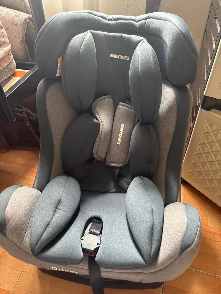Carseat babydoes