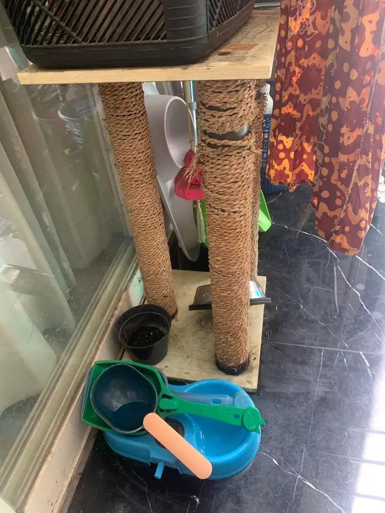 cakaran bantal kucing dan tempat makan