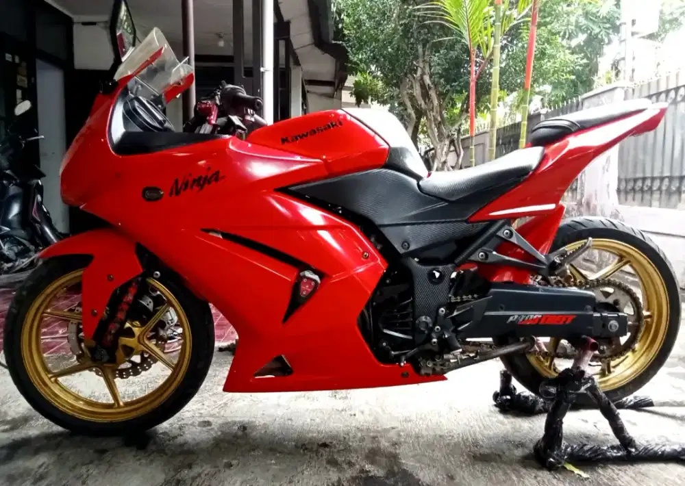 Kawasaki Ninja 2009