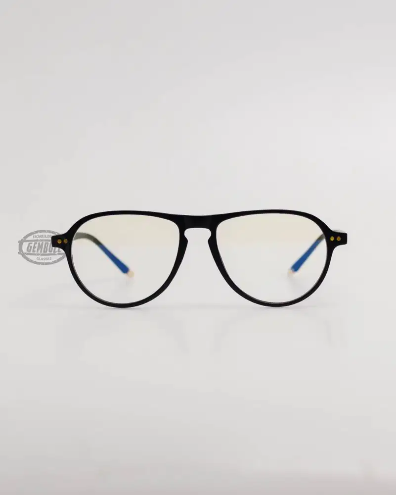 GEMBULL GLASSES - KACAMATA UNIK DAN LUCU SEMI BULAT - ANGGADA 05