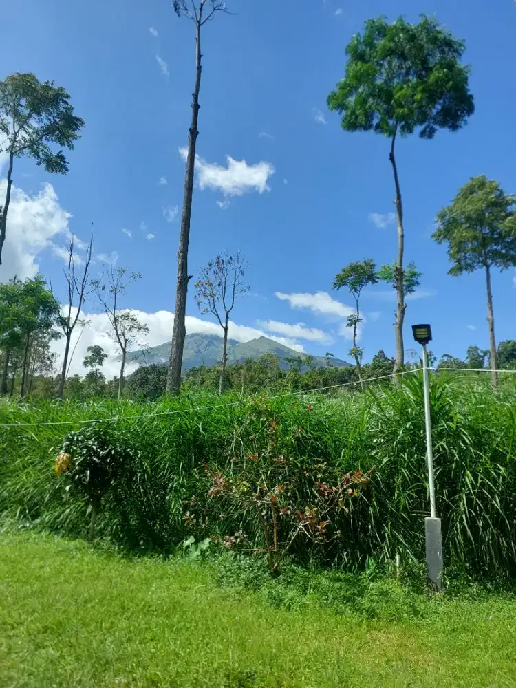 Tanah kebun di getasan bonus bangunan.
