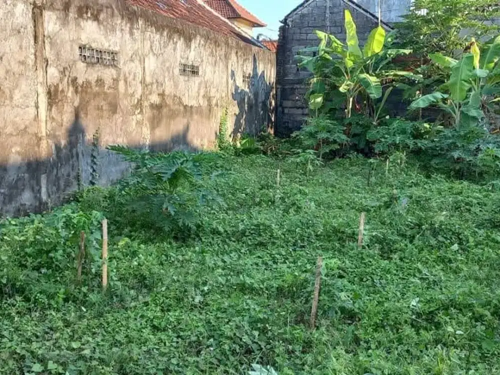 DIJUAL TANAH STRATEGIS 3,2 ARE - SUMERTA KAJA