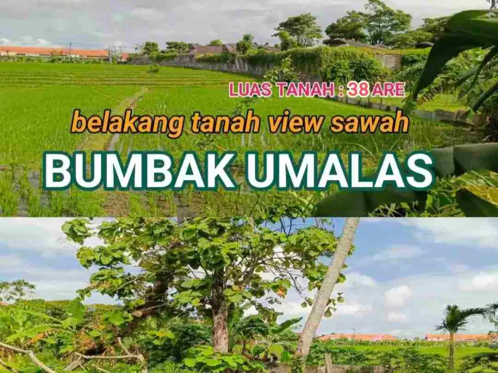 Tanah TERMURAH Yellow Zone di Umalas Kerobokan