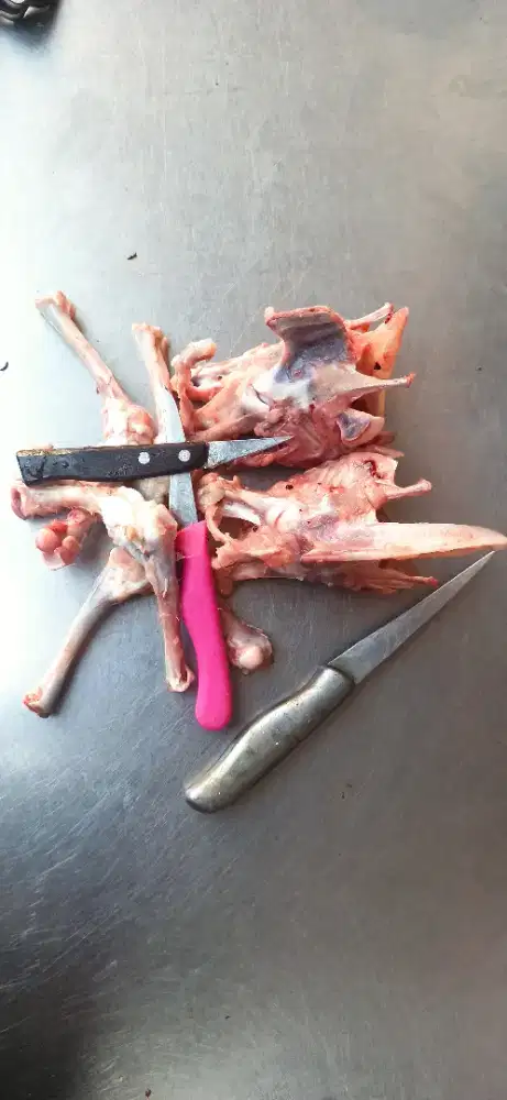 Ayam Fillet paha Broiler Fres Segar Murah Free Tulang