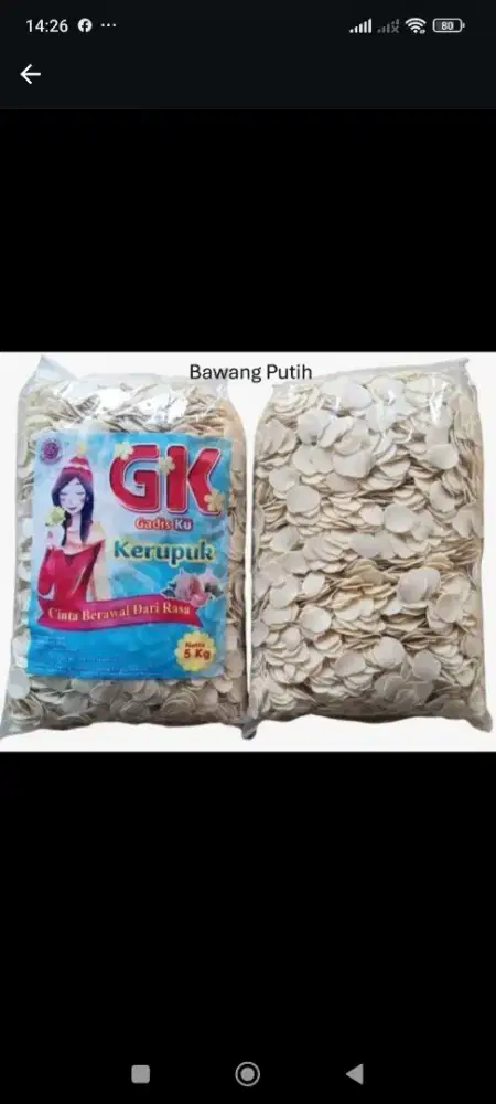 Teknisi listrik dan mekanik