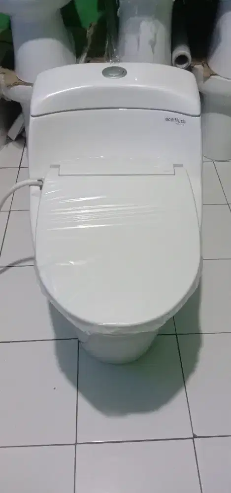 Kloset mewah Toto type CW823J ECO washer