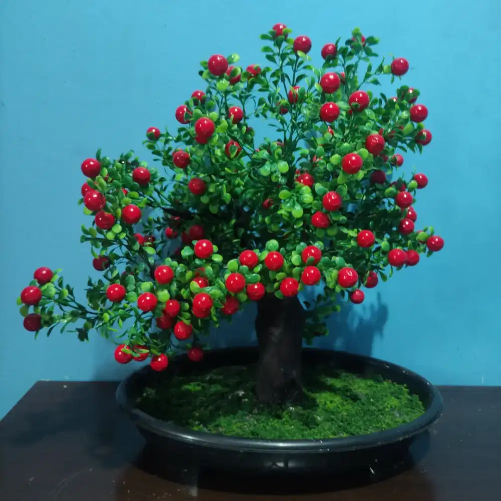 Hiasan meja bonsai artificial home made