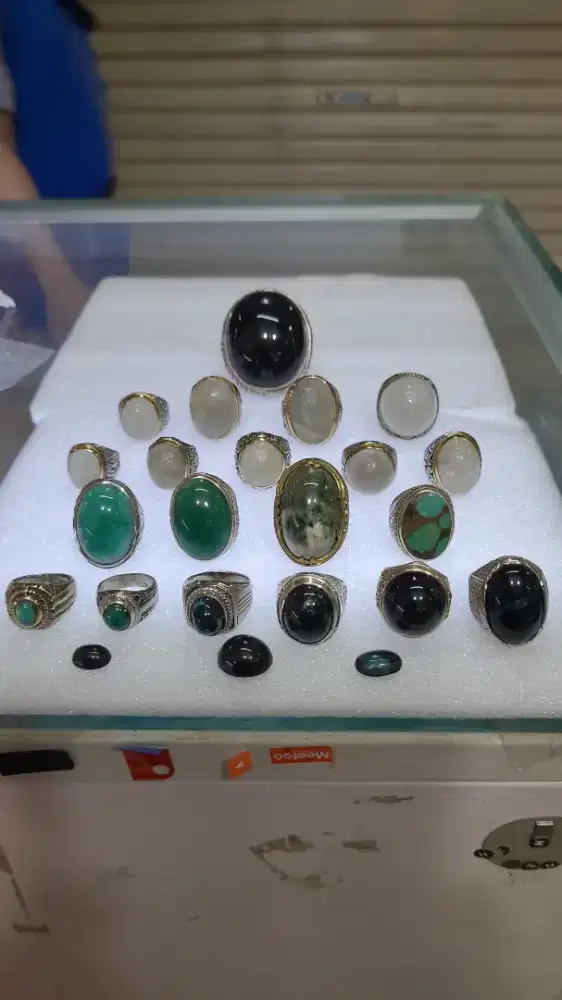 BORONGAN BACAN HALMAHERA,DOKO,COKMER,GULAU,PIRUS,BACAN BABON,BT GAMBAR