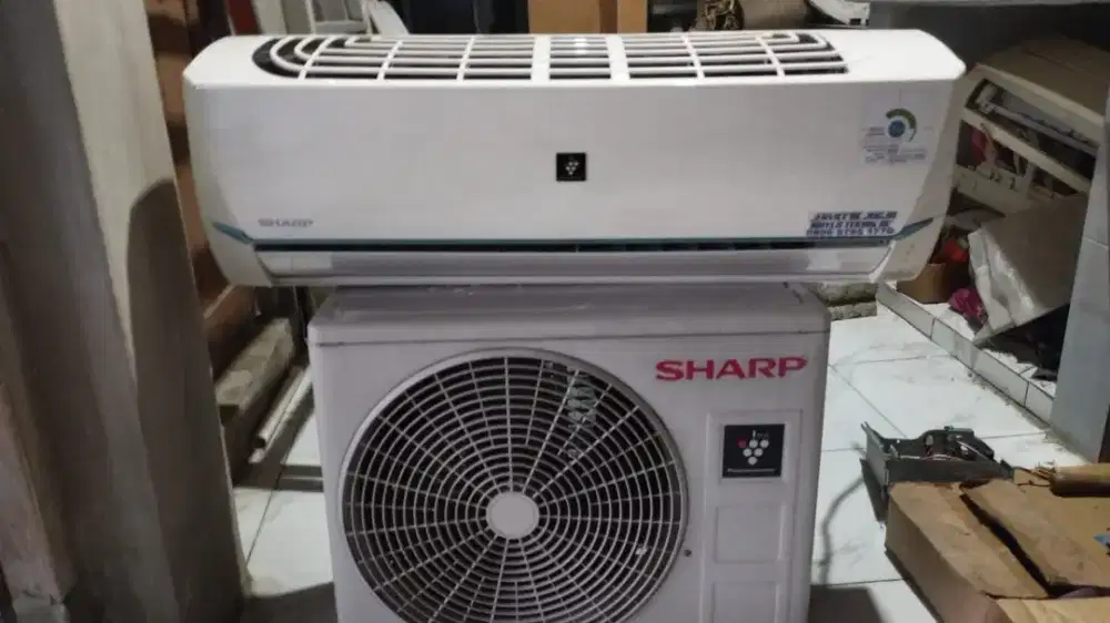 Ac Sharp 1/2pk second