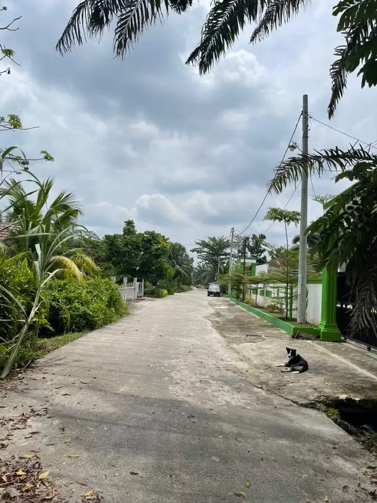 Dijual Tanah Luas 2 Hektar Untuk Perumahan, Lokasi Jl Pesantren Kulim