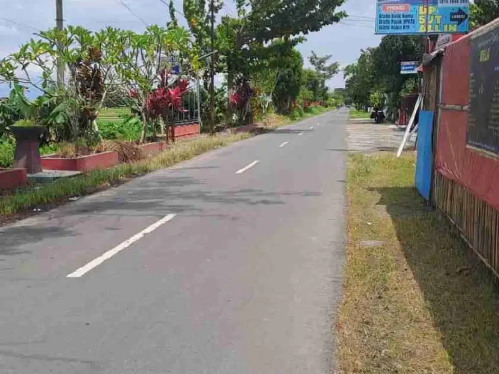 Dijual sawah ijo di duwet wonosari klaten