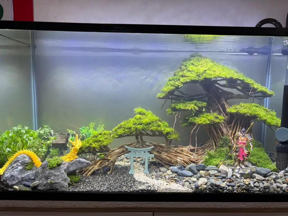 Aquarium nikita sama aquarium lepet dijual paket 2 aquarium