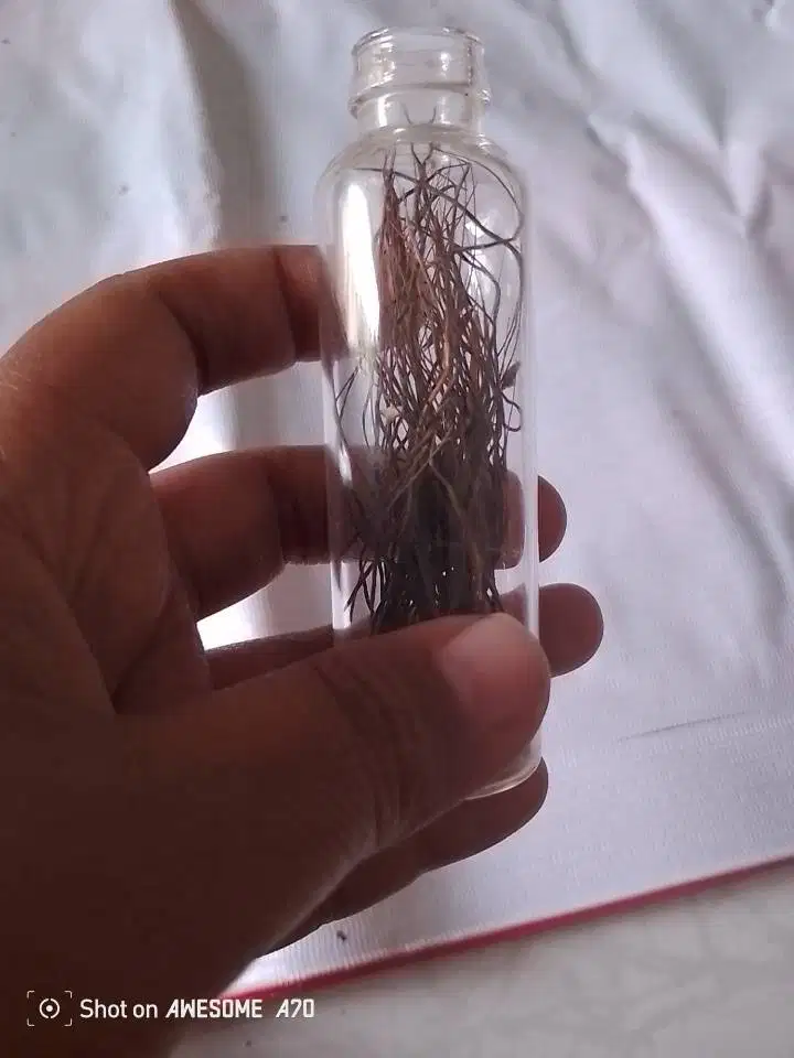 Koleksi Botolan BP Antik + Myk BP Antik.