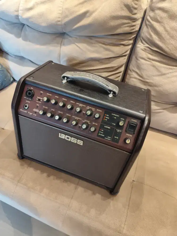 Boss - Acoustic Singer Live