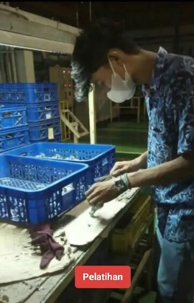 Pelatihan Kerja Mandiri