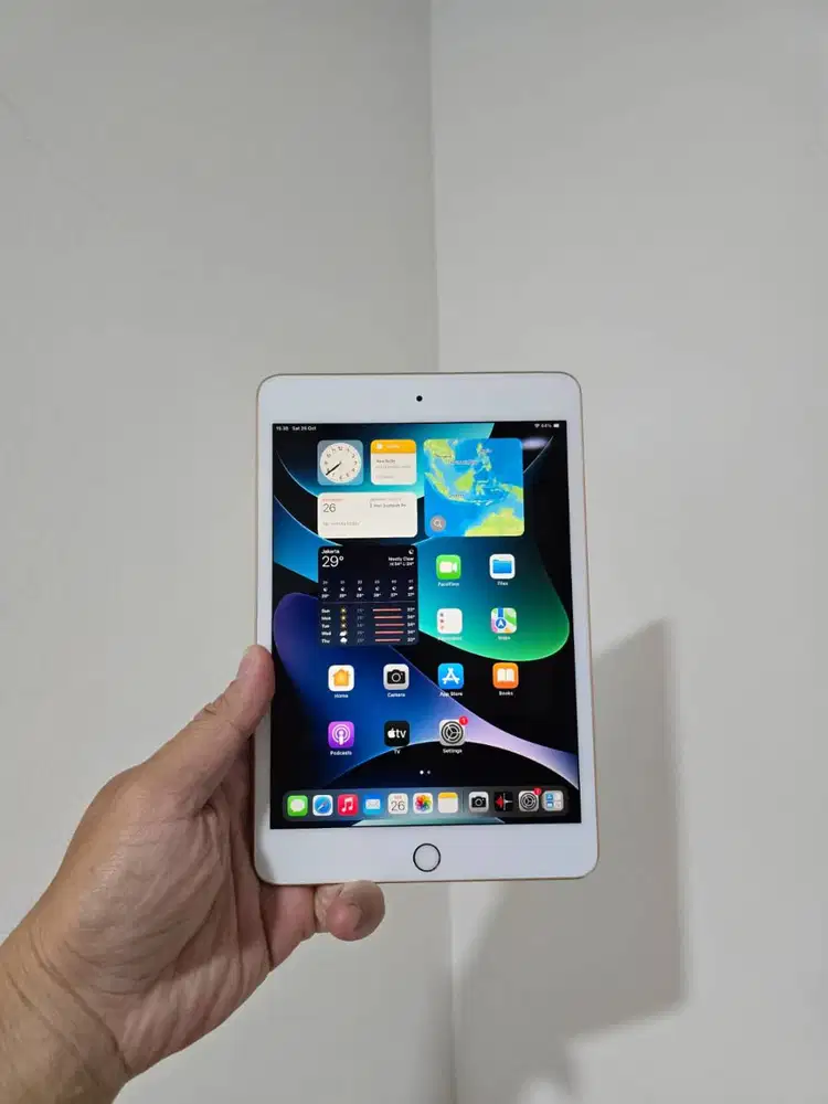 Apple iPad Mini 5 256GB 256 GB Wifi Only 5th Gen 2019 Mantap (2)