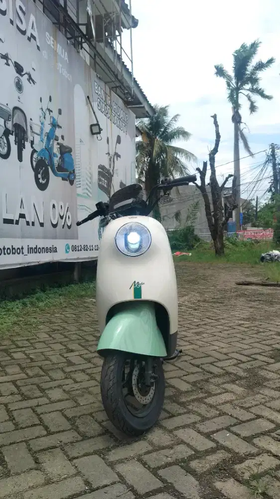 Sepeda Listrik Luyuan Moda 2