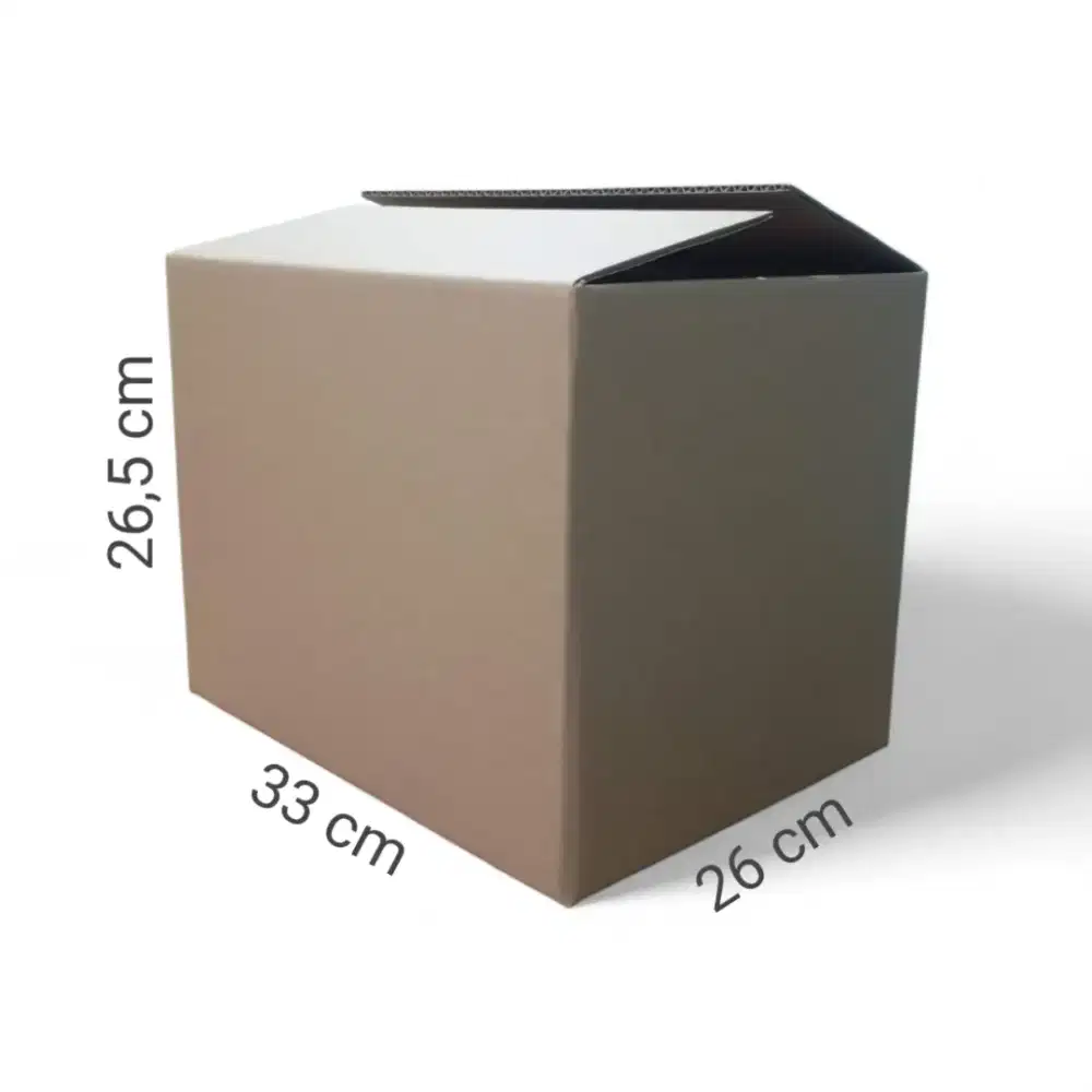 Karton box/kardus polos