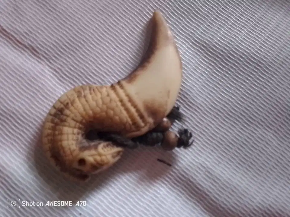 Koleksi Liontin Taring Antik Bekas