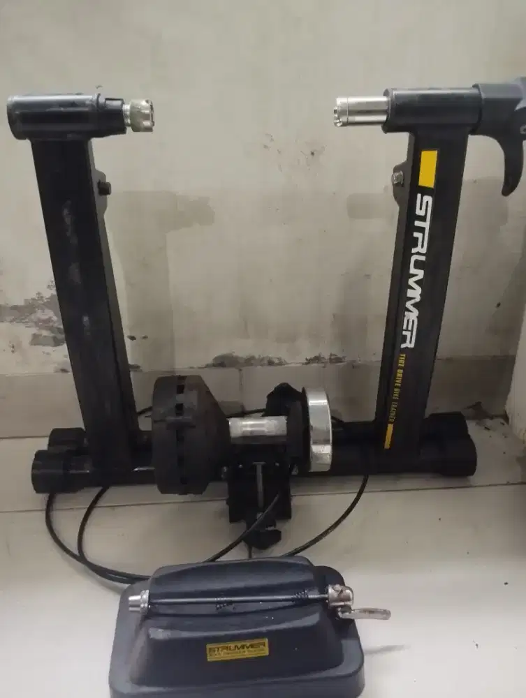 Bike trainer strummer