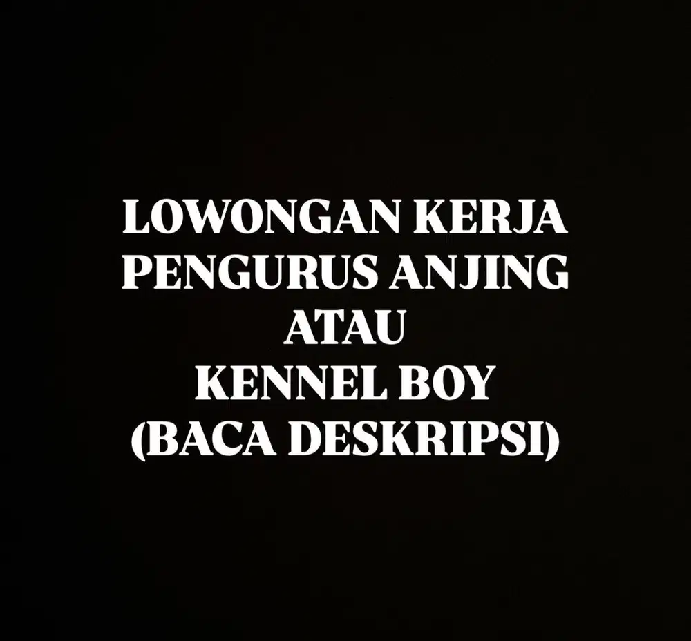 LOWONGAN KERJA KENNEL BOY / PENGURUS ANJING