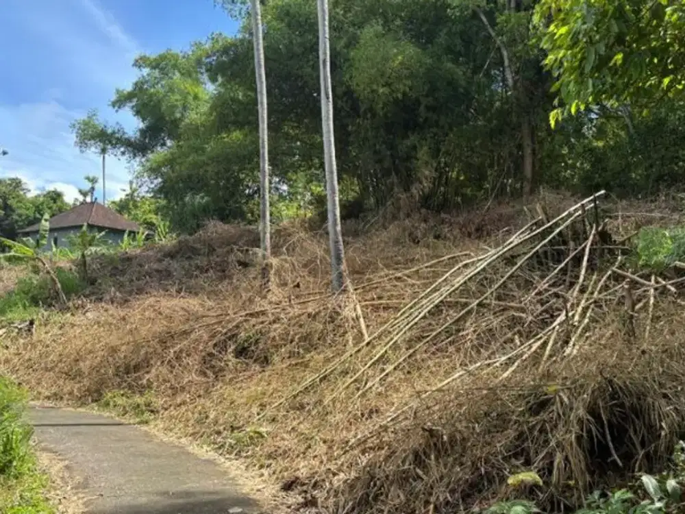 TANAH 14 ARE SHM DI TUMBU KARANGASEM