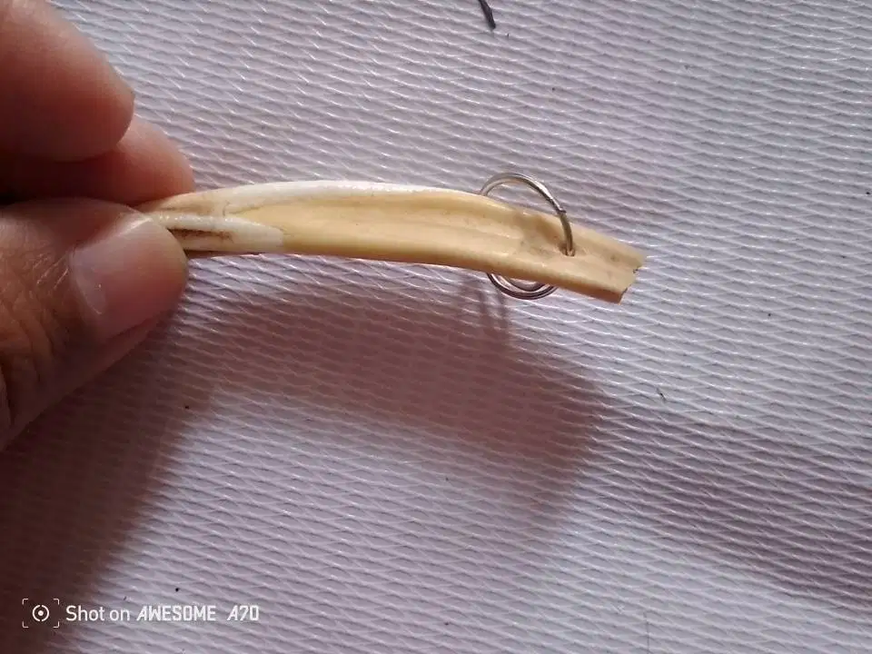 Gantungan Kunci atau tas Taring Antik