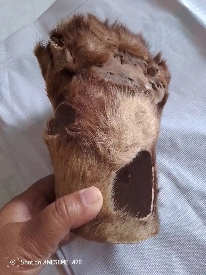 Koleksi Antik Bekas Peninggalan Mbah kuno