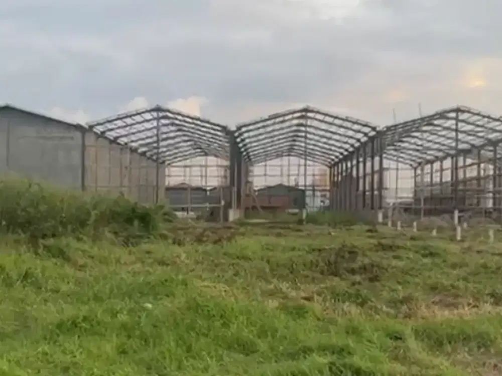 Tanah Dijual dan Disewakan di Laksana Bussines Park