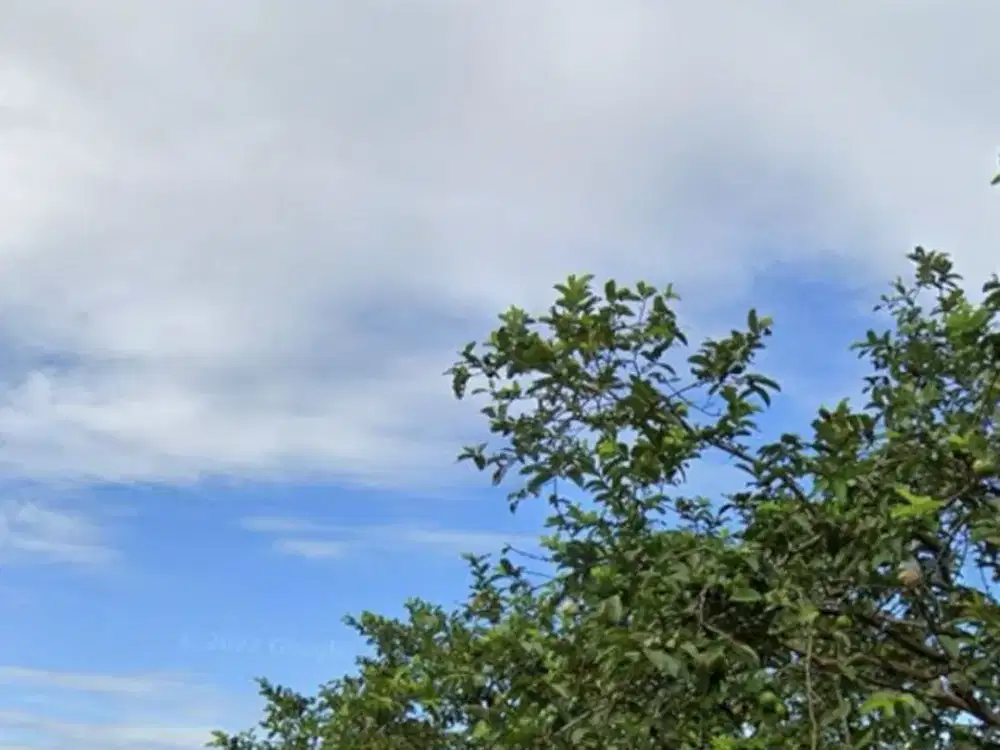 JUAL TANAH MURAH DI BOGOR DI DEKAT DERMAGA IPB COCOK UNTUK KOSTAN