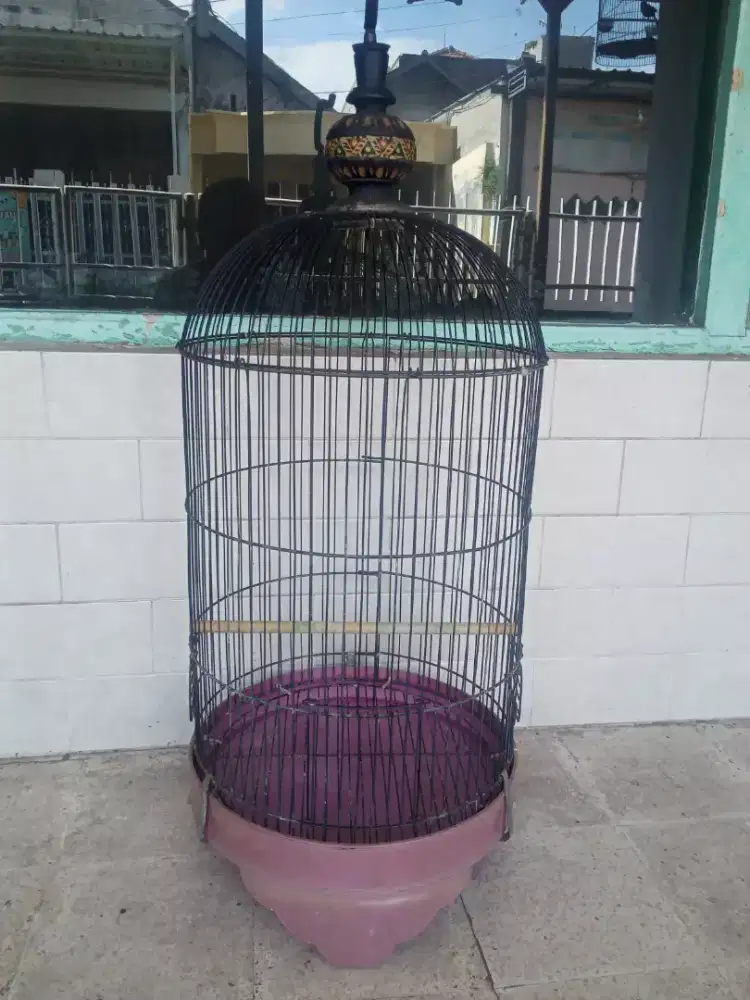 Sangkar Besi Lovebird
