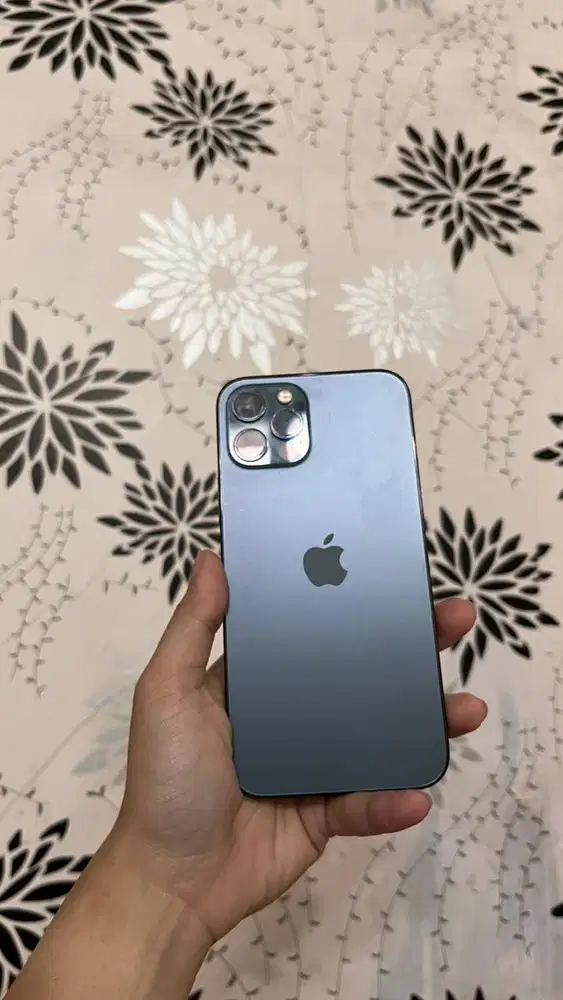 Iphone 12 pro 256GB second/bekas