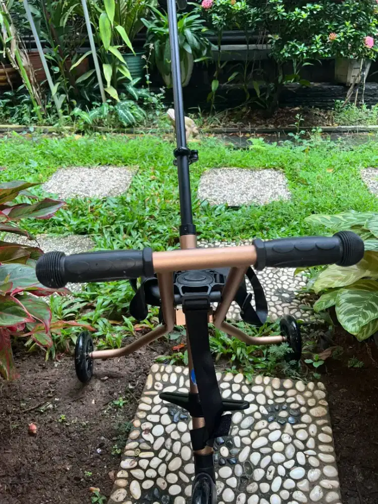 Micro Tricke Deluxe, Gold