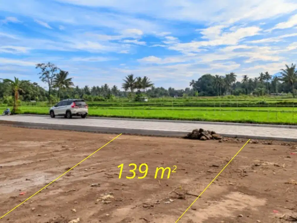 Pinger Sawah Tanah Siap Bangun Jogja Cocok Villa Dan Rumah Hunian