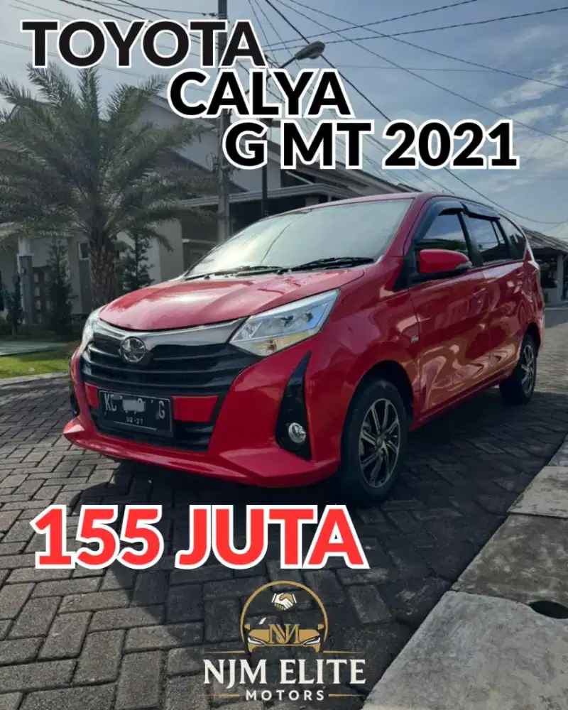 CALYA 2021 DEALEAR NJM ELITE