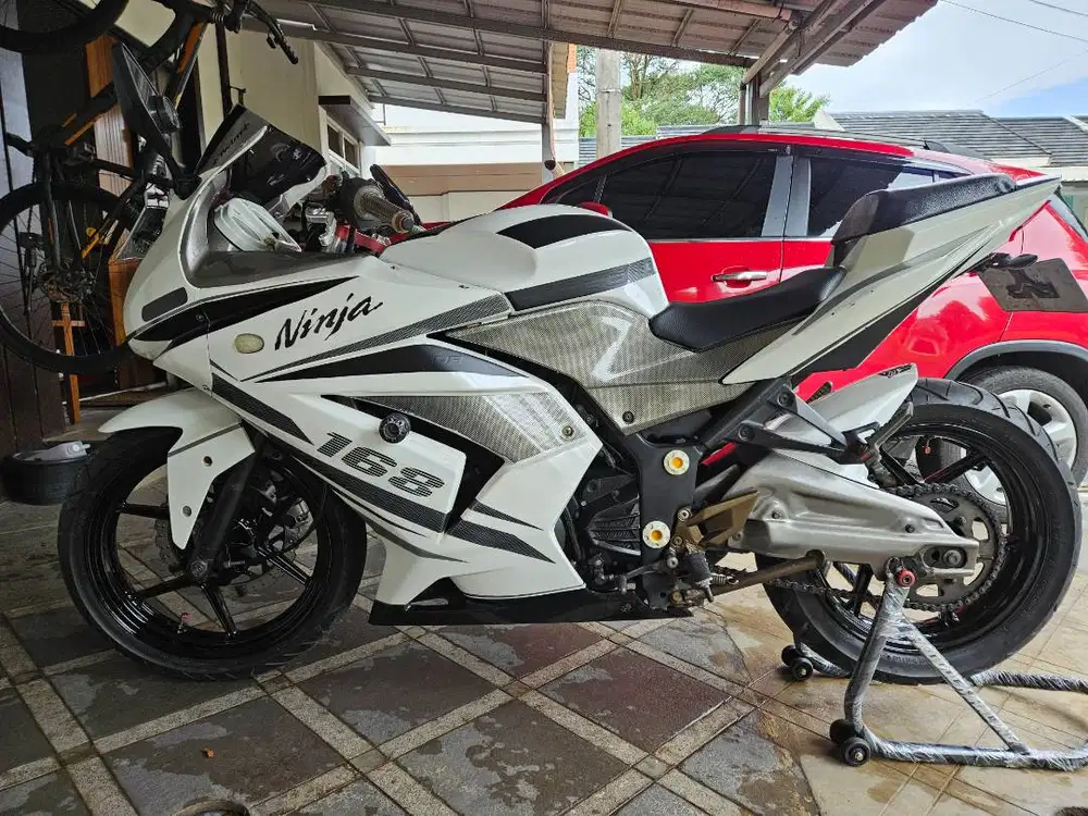 Kawasaki Ninja 250 Karbu - Black & White Edition