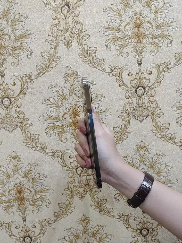 iphone 12 pro max 512gb resmi ibox mulus