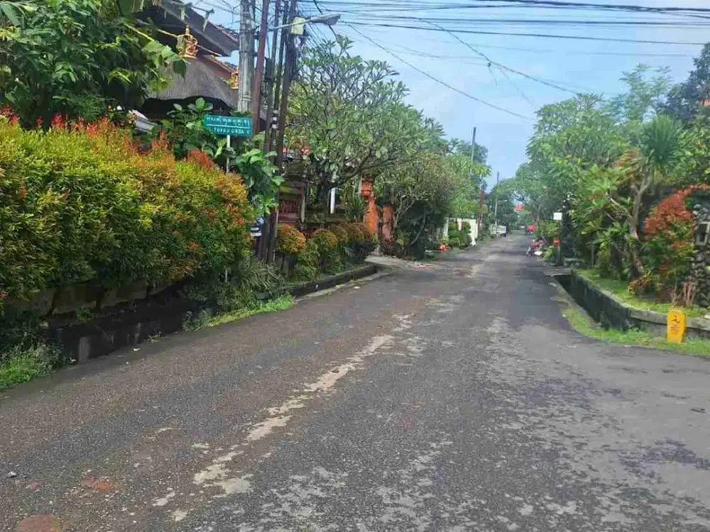 Jual Tanah Luas 3.45are/345m² Lokasi Jl Ciung Wenara Dekat Renon Zona Kuning Tidak Banjir Strategis Area