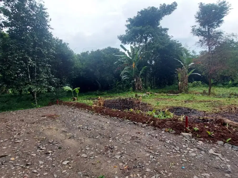 Satu Juta-an Permeter Kavling SHM Setu, Bekasi. Dekat Tol Burangkeng