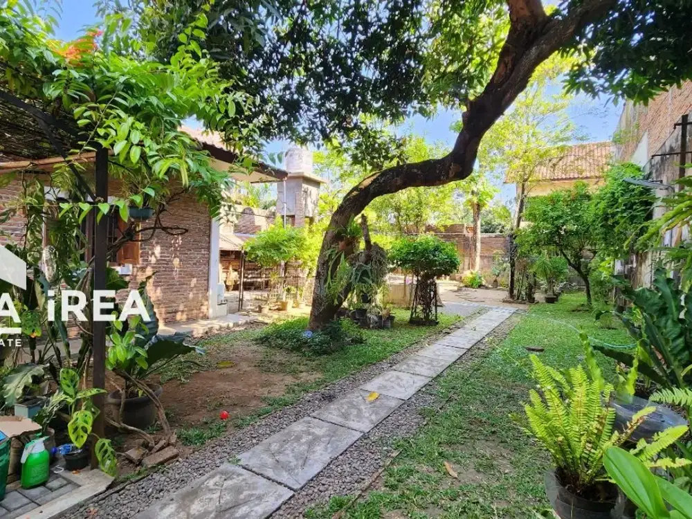 DIJUAL ATAU DISEWAKAN RUMAH NYAMAN DI SOLO DEKAT SINGOSAREN & PASAR KEMBANG