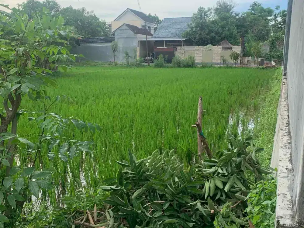 Tanah Premium di Kota Mataram Lombok