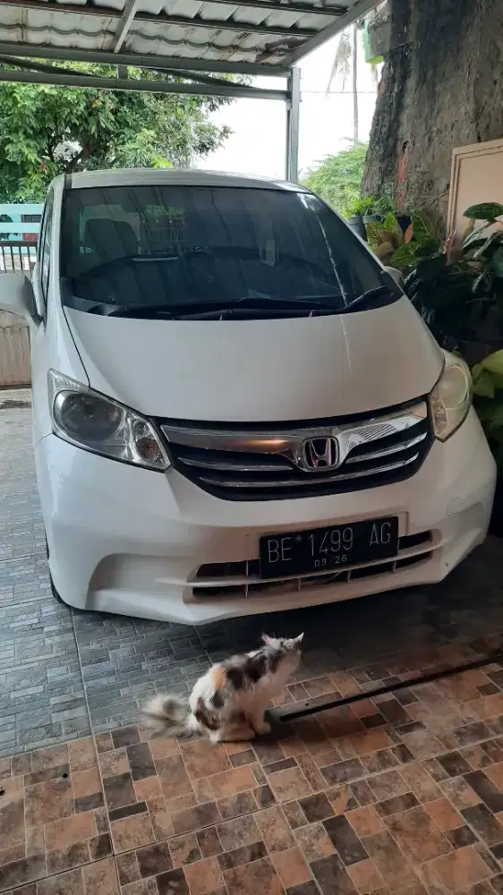 Honda freed 2014