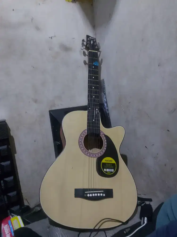 Jual gitar features