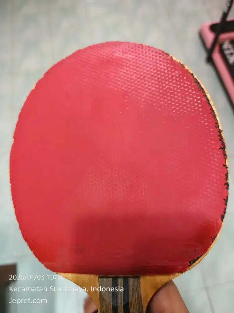 Karet bet pingpong