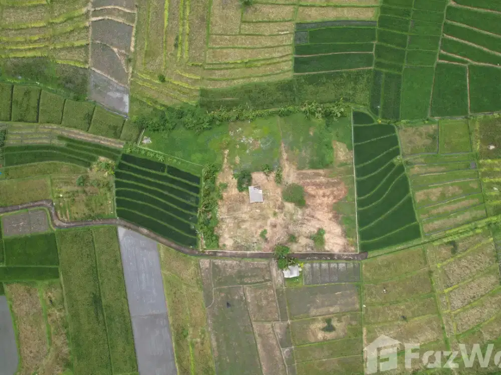 Land for sale in Kediri, Bali