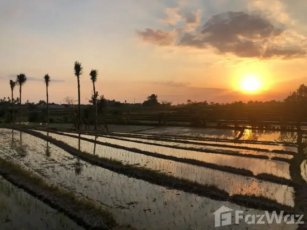 Land for sale in Kediri, Bali