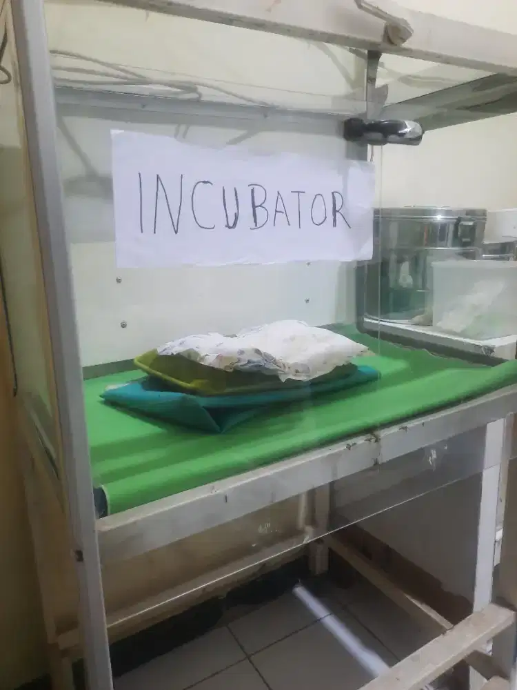 Dijual Inkubator