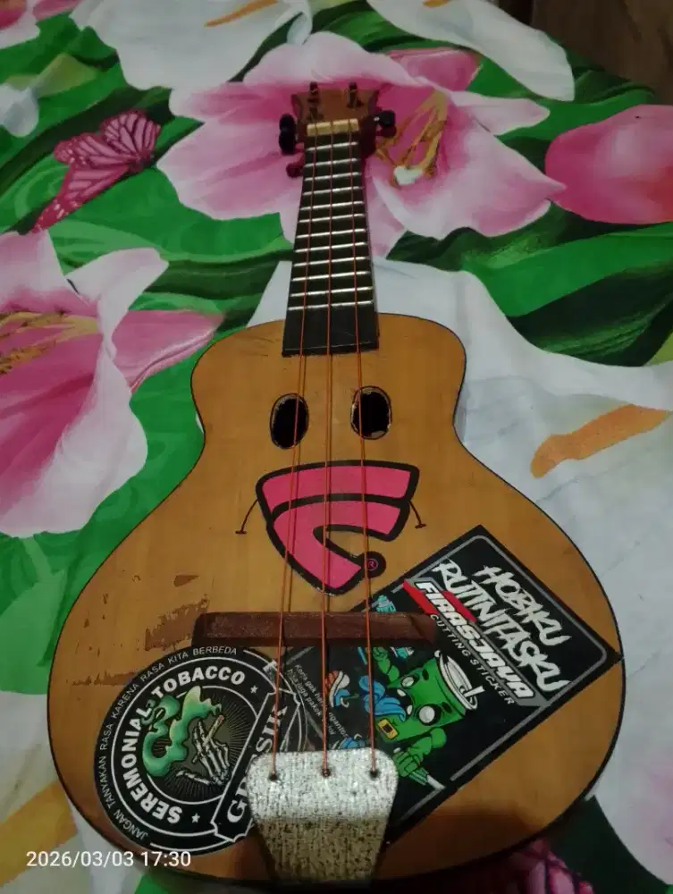 Ukulele senar 3